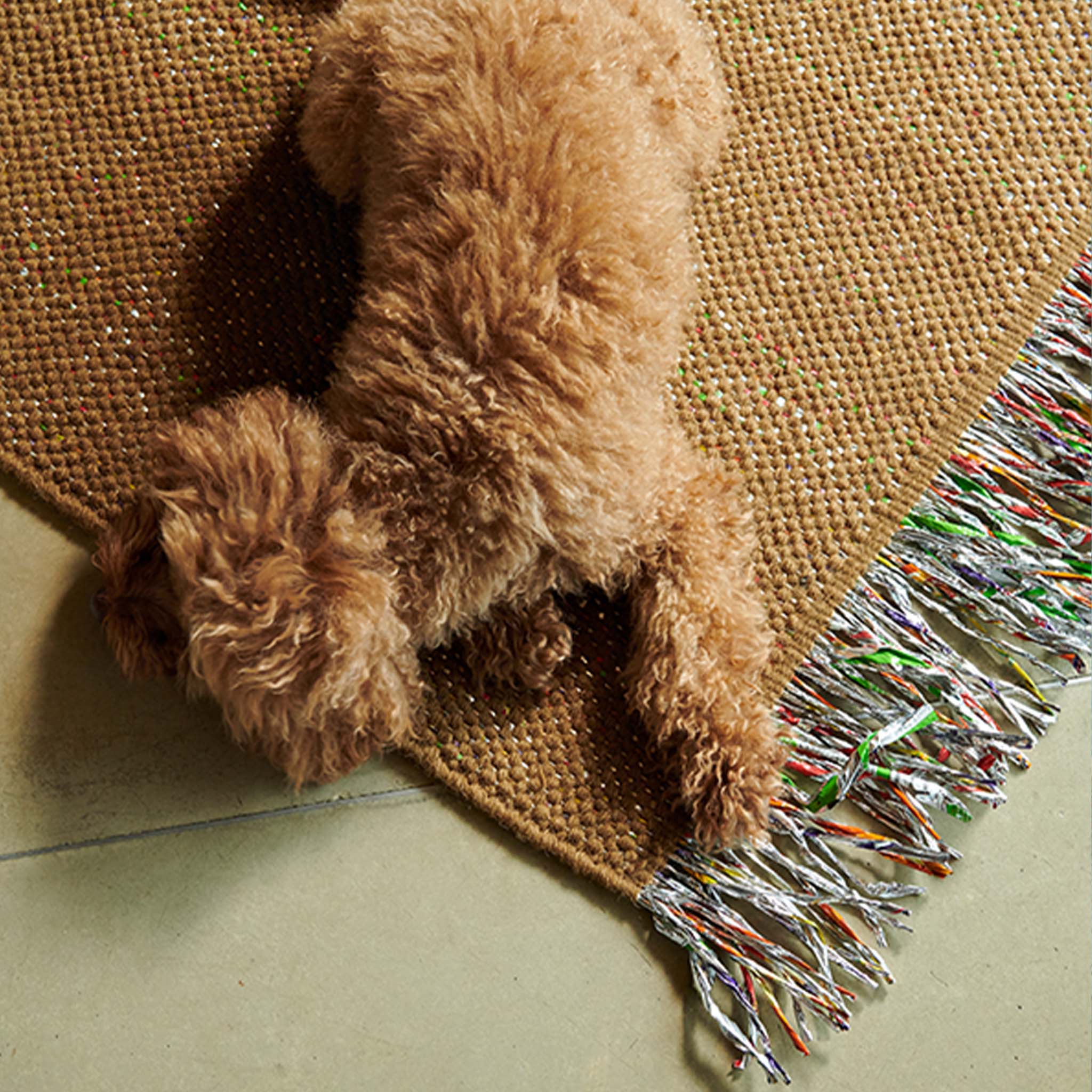 Candy Wrapper Rug_Classic_everybody loves nuts